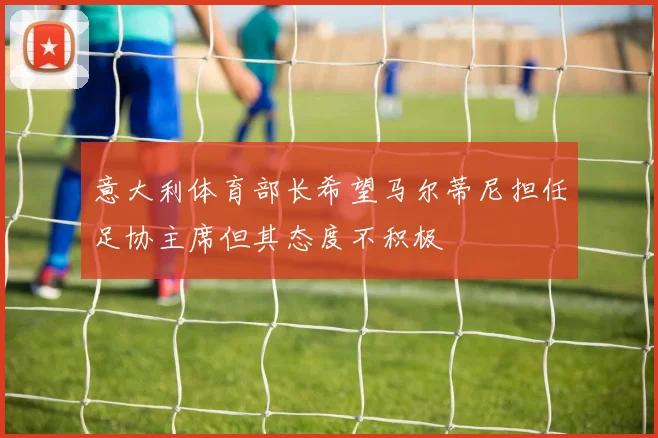 意大利体育部长希望马尔蒂尼担任足协主席但其态度不积极